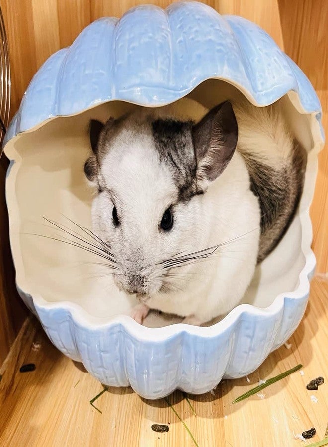 WCDJOMOP Small Animal Hideout Extra Large Ceramic Shell Shape Guinea Pig House Chinchilla Igloo Habitat Hut Cave Summer Bed Cage Accessories for Hedgehog Rabbit Hamster Gerbil Rat (XL (9.5''x7''x7.9''), Blue) - Image 5